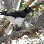 DSCN0090.1024 (8701 visits) DSCN0090.1024