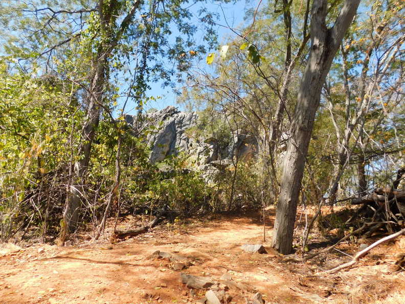 DSCN0261.JPG