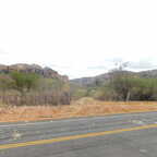 DSCN0339 (5277 visits) DSCN0339