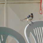 DSCN0340 (5324 visits) DSCN0340