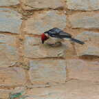 DSCN0342 (4901 visits) DSCN0342