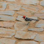 DSCN0343 (4959 visits) DSCN0343