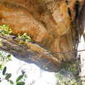 DSCN0391.1024