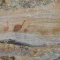 DSCN0393.1024