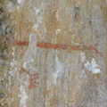 DSCN0398.1024