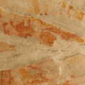 DSCN0418.1024