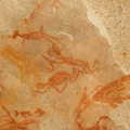DSCN0423.1024