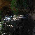 DSCN0431.1024