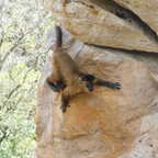 DSCN1516 copy (3739 visits) DSCN1516 copy