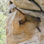 DSCN1517 copy (3948 visits) DSCN1517 copy