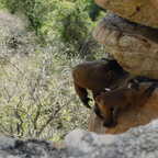 DSCN1518 copy (4276 visits) DSCN1518 copy