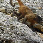 DSCN1521 copy (4308 visits) DSCN1521 copy