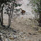 DSCN1526 copy (4403 visits) DSCN1526 copy