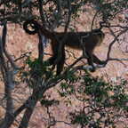 DSCN1528 copy (4154 visits) DSCN1528 copy