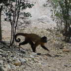 DSCN1527 copy (4021 visits) DSCN1527 copy