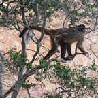 DSCN1529 copy (3904 visits) DSCN1529 copy