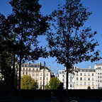 DSC 0062