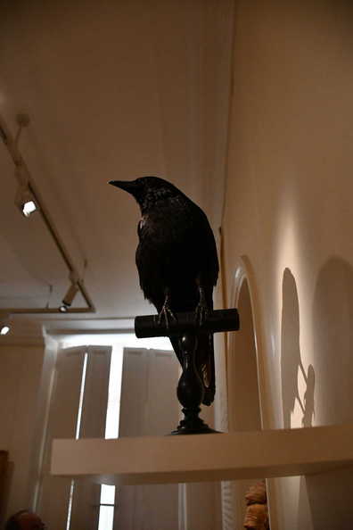 DSC_3064_copy.jpg