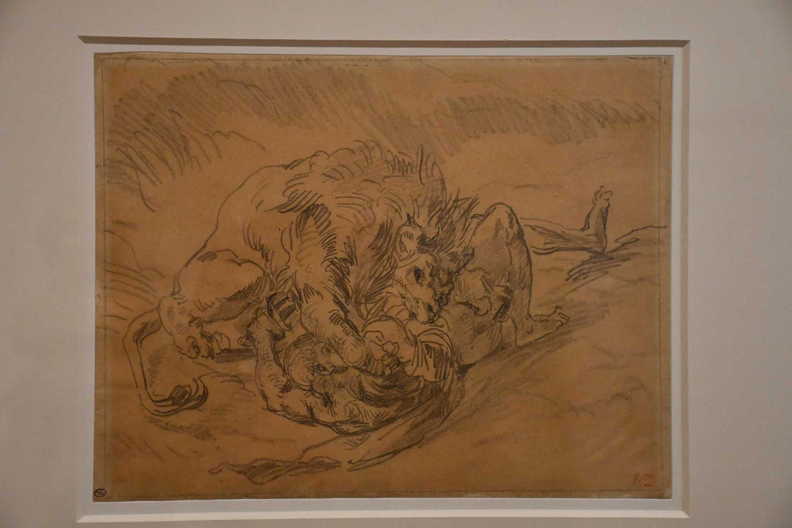 DSC_3075_copy.jpg