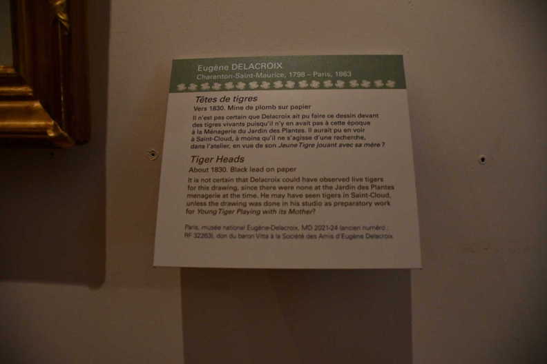 DSC_3078_copy.jpg