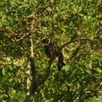 DSCN1224
