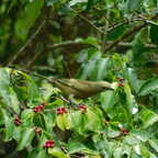 DSCN1251