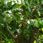 DSCN1254