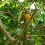 DSCN1255