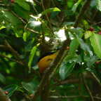 DSCN1256