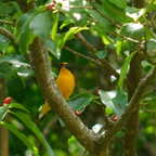 DSCN1258