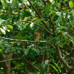 DSCN1362