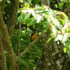 DSCN1363