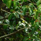 DSCN1374